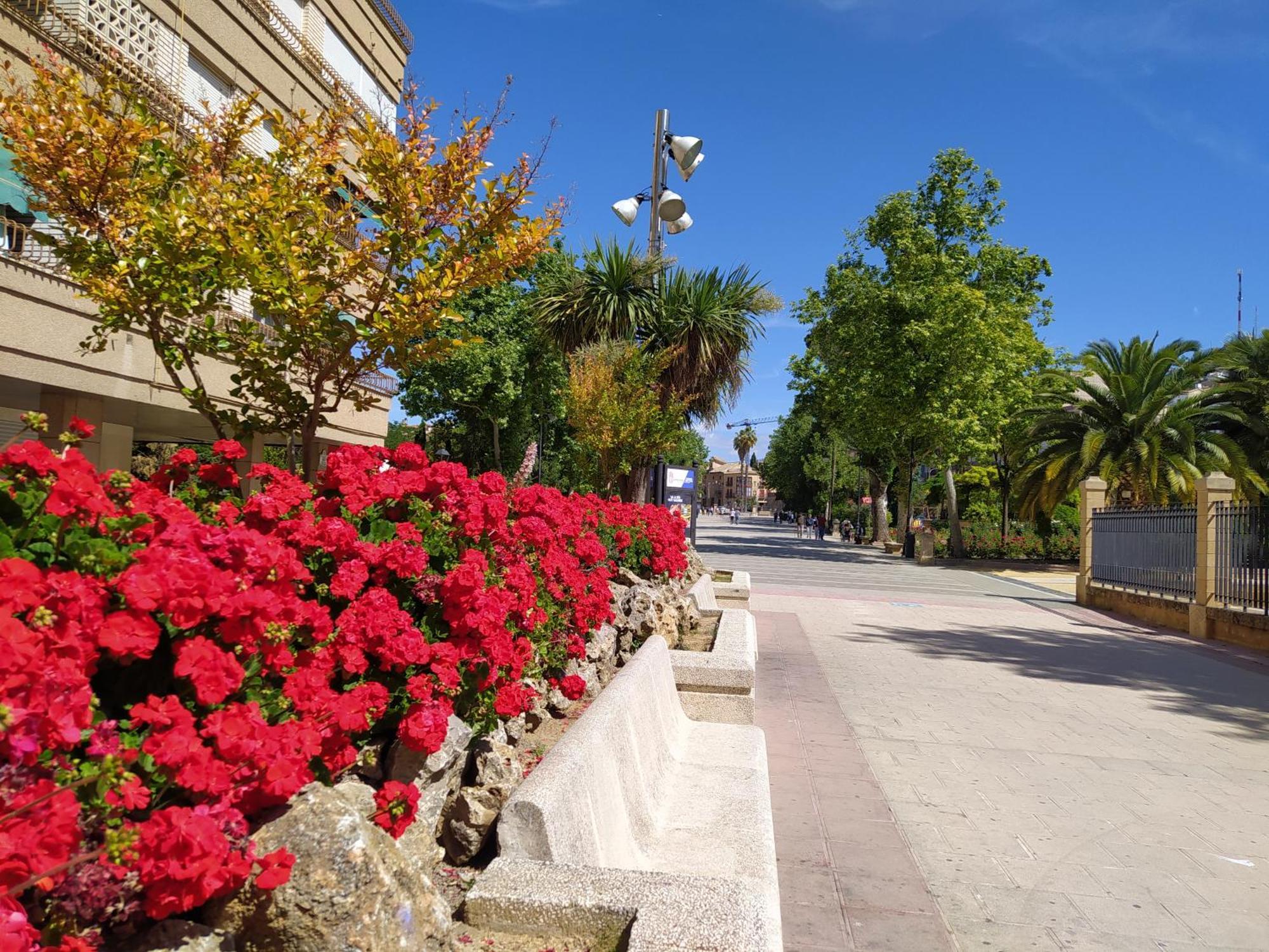 Alojamiento Los Alamos Alcalá la Real Esterno foto
